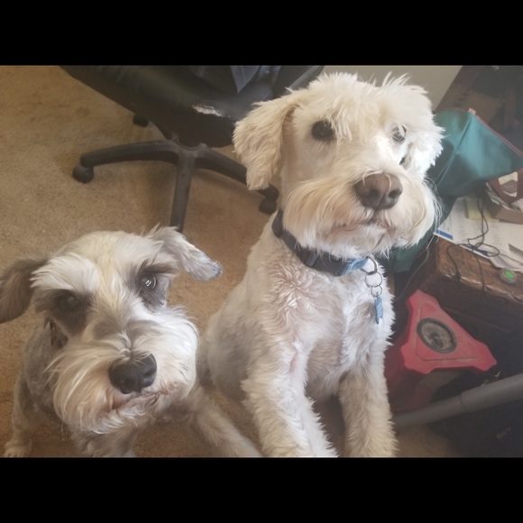 Thank you for stopping by our closet 🌸🌺 - Picture 1 of 1